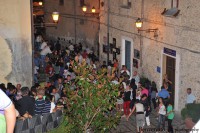 /album/galleria-fotografica/a323061-223737507674740-1983389-o-jpg/