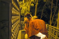 /album/galleria-fotografica/a1233579-536129979768823-1786037672-n-jpg/